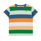 Remera Stripes multicolor