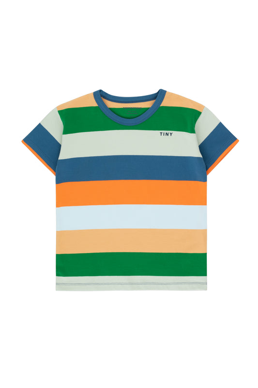 Remera Stripes multicolor