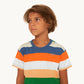 Remera Stripes multicolor