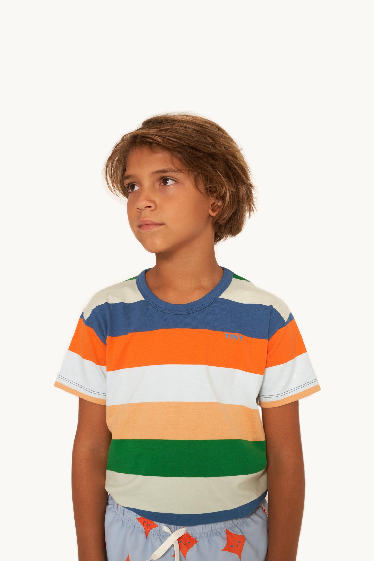 Remera Stripes multicolor