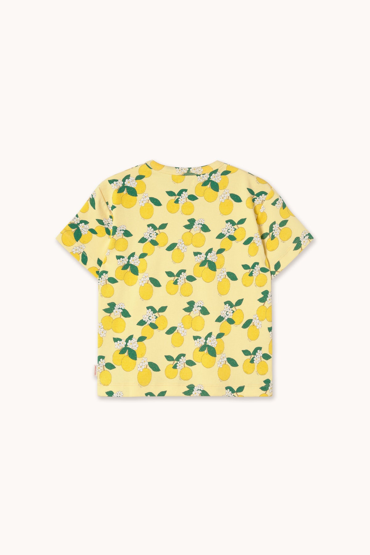 Remera Rib Oranges