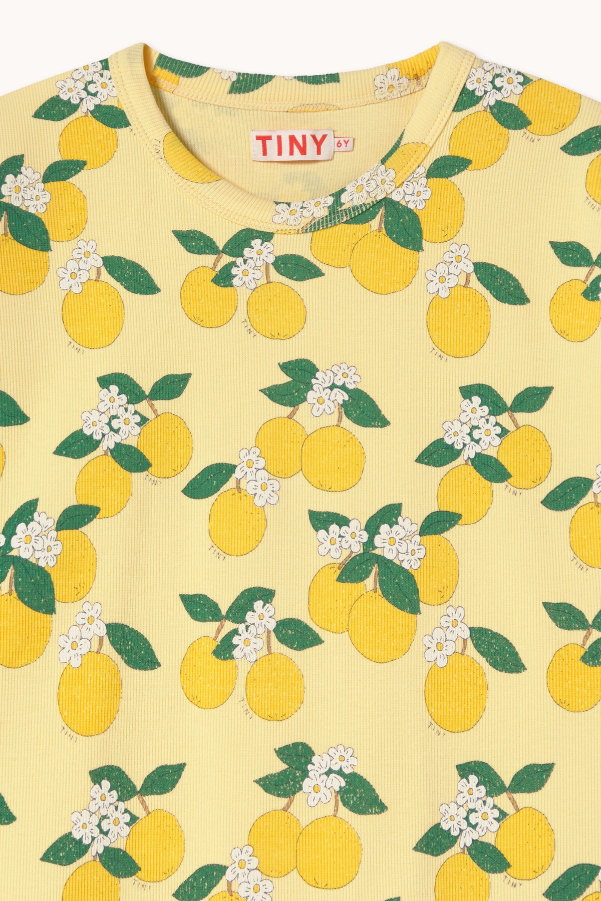 Remera Rib Oranges