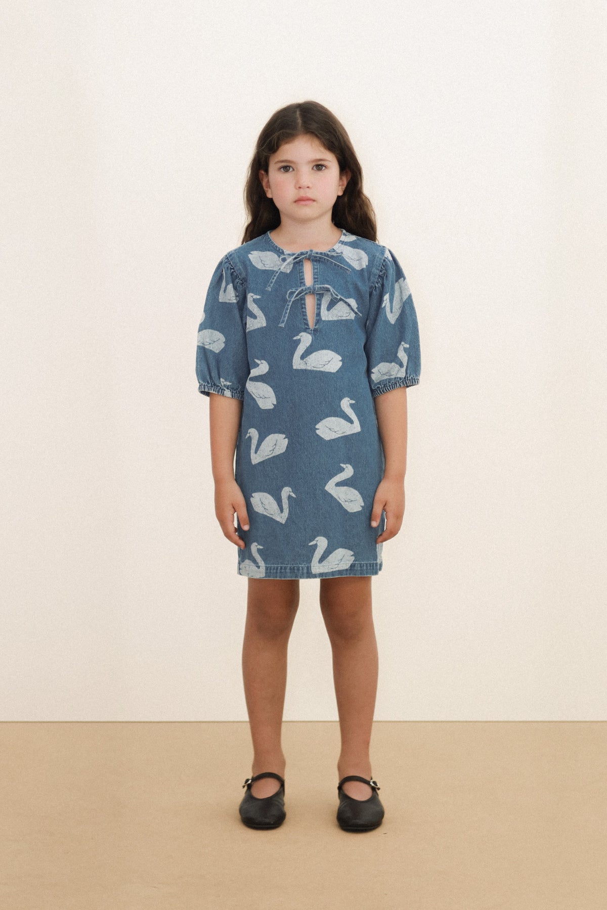 Vestido Big Swans