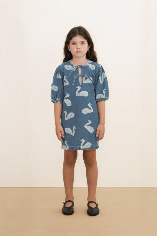 Vestido Big Swans