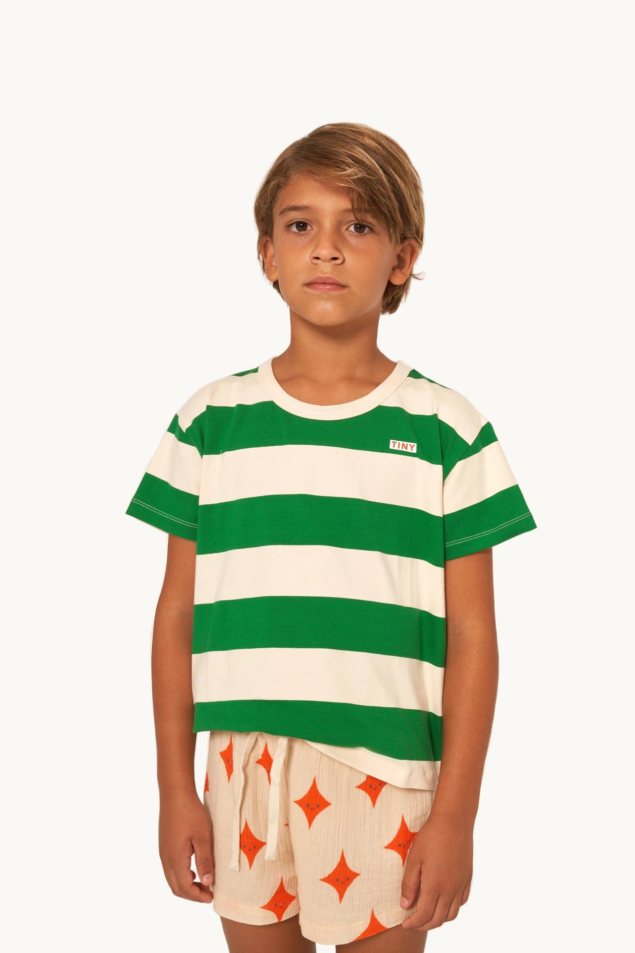 Remera Stripes verde