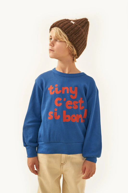 Buzo Tiny azul - TALLE 10