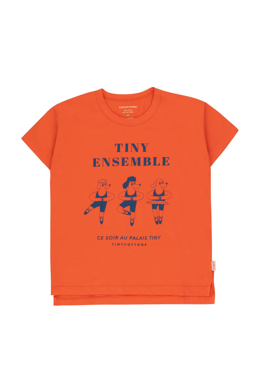 Remera Tiny Ensemble